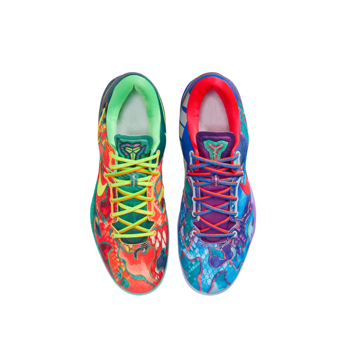 Kobe 8 Protro What The