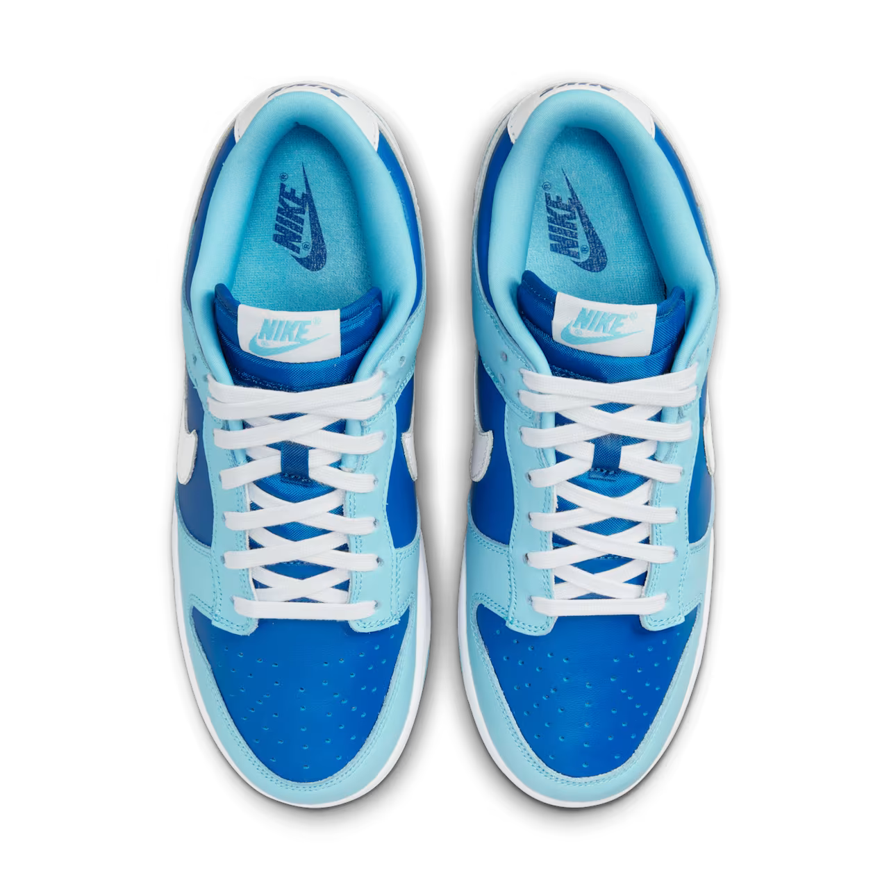 Dunk Low Argon QS