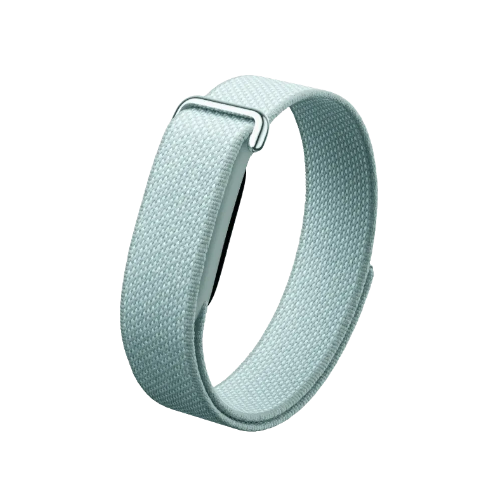 Google Fitbit Air