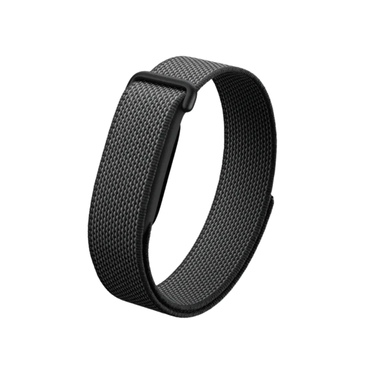 Google Fitbit Air