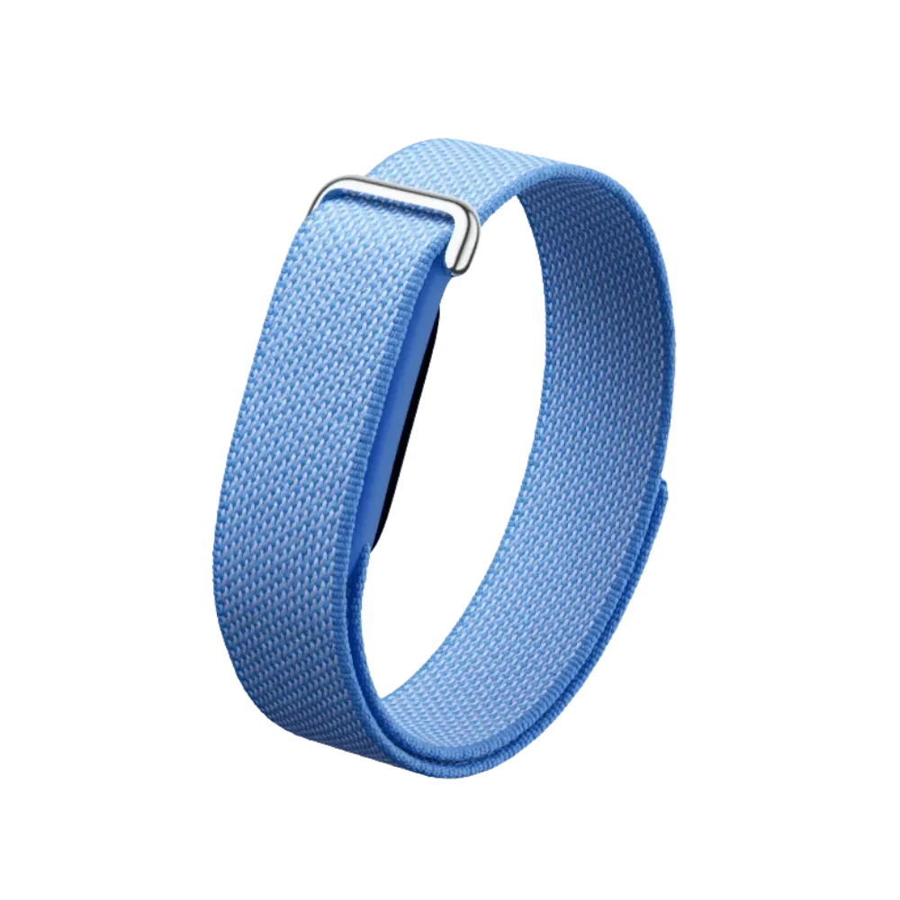 Google Fitbit Air
