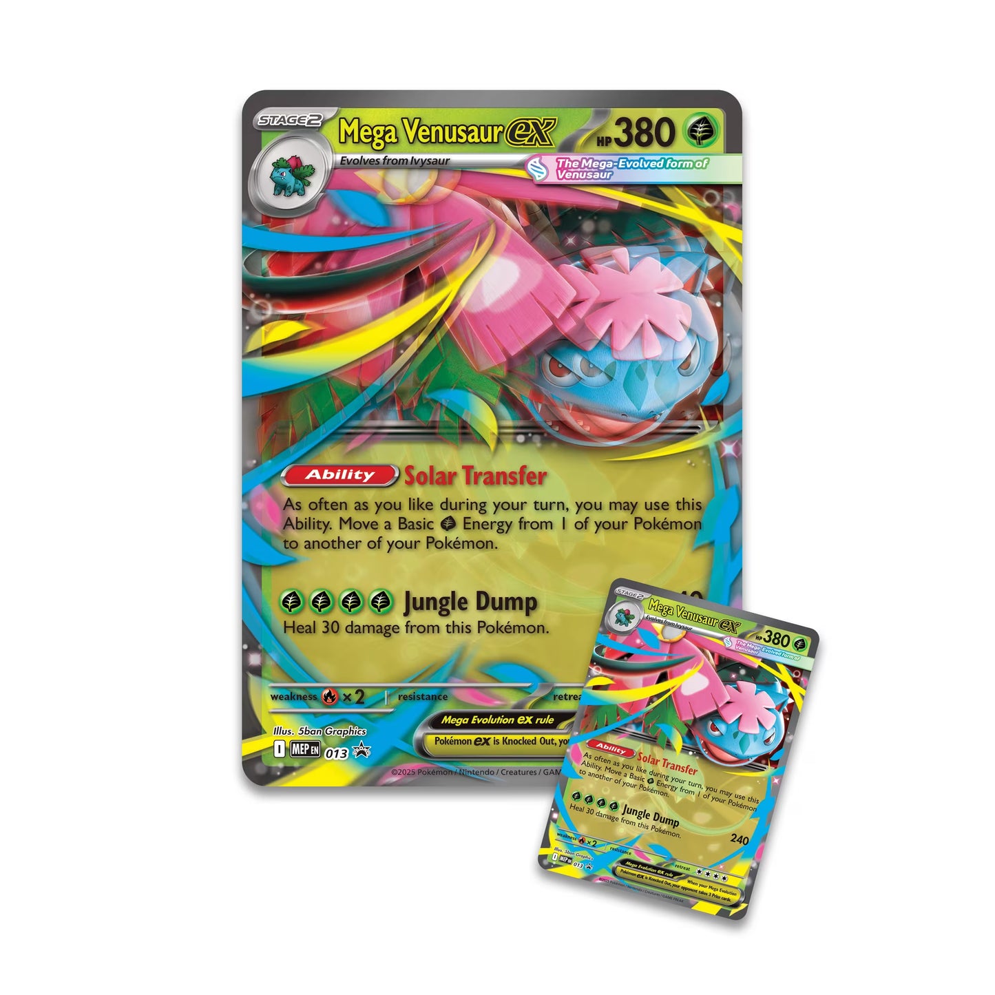 Pokémon TCG: Mega Venusaur ex Premium Collection – LaceUpClub