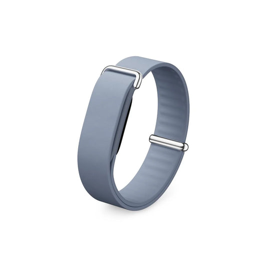 Google Fitbit Air Elevated Modern Band (Strap Only)