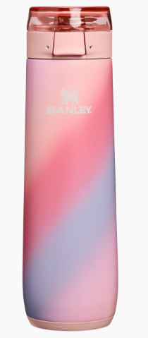 Stanley 1913 The Flowstate Spring Bottle | 20 OZ