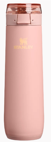Stanley 1913 The Flowstate Spring Bottle | 20 OZ
