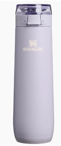 Stanley 1913 The Flowstate Spring Bottle | 20 OZ