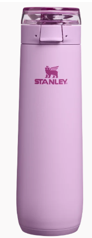 Stanley 1913 The Flowstate Spring Bottle | 20 OZ