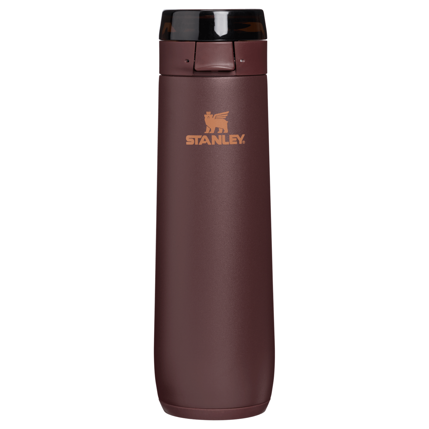 Stanley 1913 The Flowstate Spring Bottle | 20 OZ